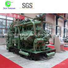 W Type CNG Compressed Natural Gas Compressor for Various Uses